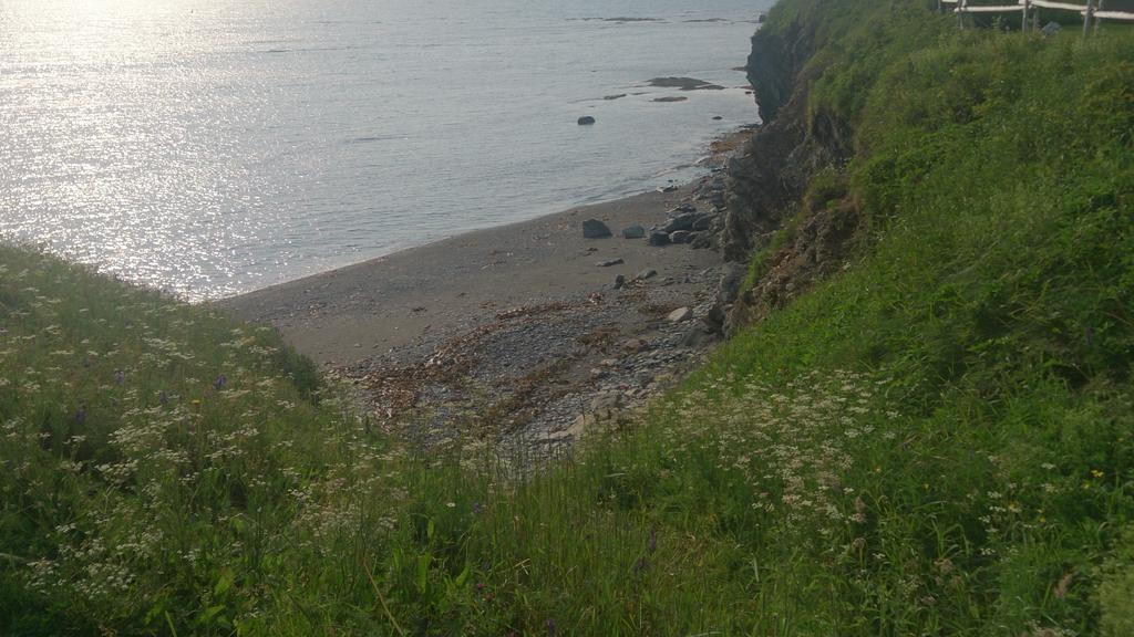 Les Cabines sur Mer Cap-des-Rosiers Extérieur photo