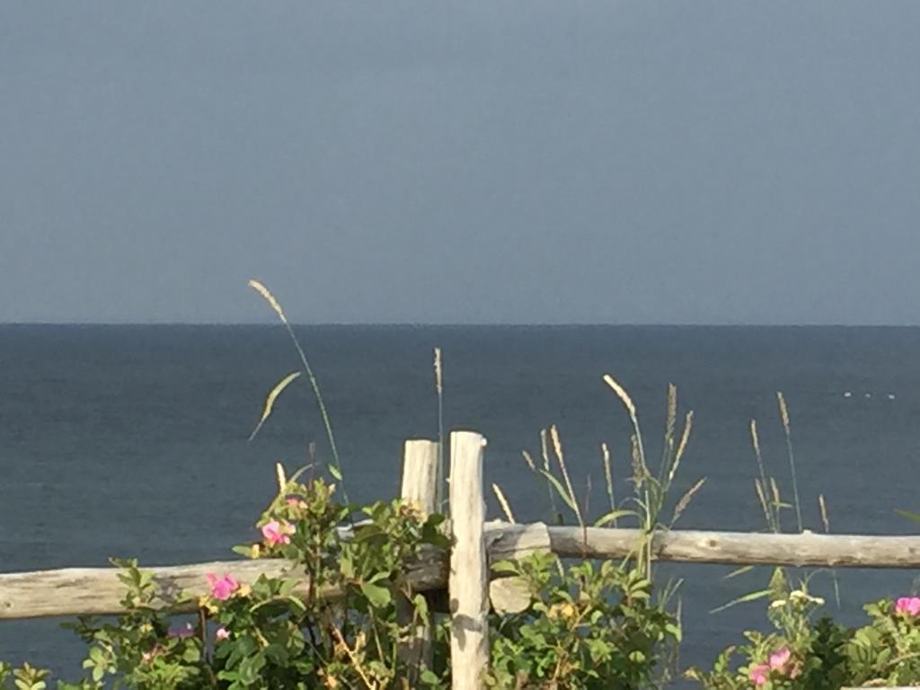 Les Cabines sur Mer Cap-des-Rosiers Extérieur photo